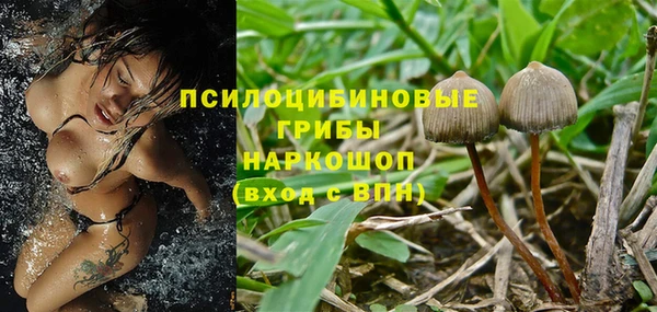 сатива Баксан