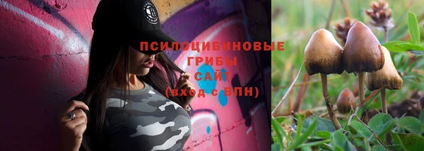 герыч Балахна