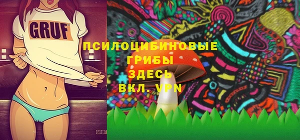 сатива Баксан