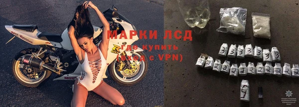 сатива Баксан