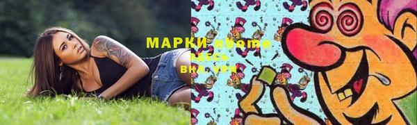 сатива Баксан